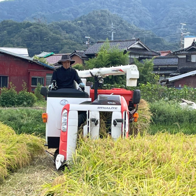 【令和6年度産】特別栽培米　新温泉町浜坂産　松岡農園のコシヒカリ　5kg【1420665】