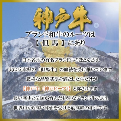 èš³ãã ç¥æžç(ç¥æžããŒã)éšäœããŸãã çŒãèçš 400g SOY1ãé
éäžå¯å°åïŒé¢å³¶ãã1686964ã