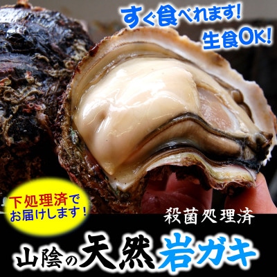 山陰の岩ガキ・サザエ詰合(大きさにより各4〜7個)　牡蠣は殺菌済　下処理済　生食OK　さざえ砂抜き済【配送不可地域：離島・北海道・沖縄県・東北】【1114072】