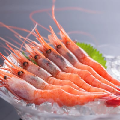 縺雁絢霄ォ逕ィ逕倥∴縺ウ500g(M繧オ繧、繧コ44蛹ケ蜑榊セ)縲宣埼∽ク榊庄蝨ー蝓滂シ夐屬蟲カ縲代1633454縲