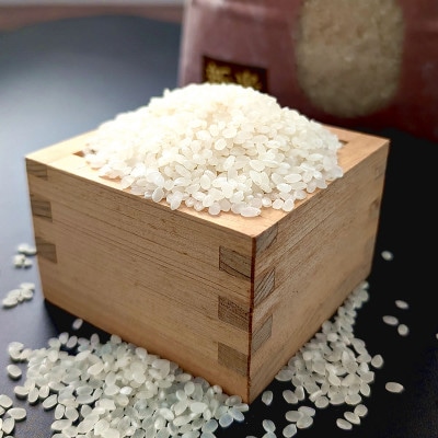 【発送月固定定期便】日本遺産認定　北前船寄港地 「北前船米」コシヒカリ 精米10kg全3回【4067345】