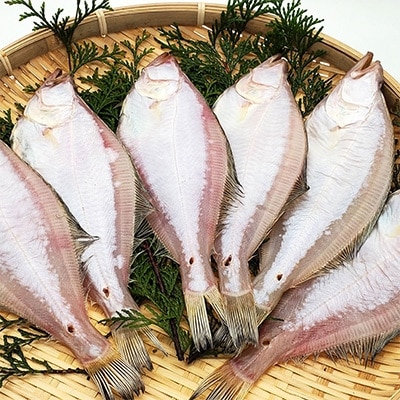 山陰名産エテカレイ一夜干し　6枚　兵庫県新温泉町　【配送不可地域：離島】【1109959】