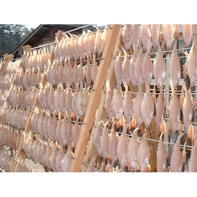 山陰名産エテカレイ一夜干し　6枚　兵庫県新温泉町　【配送不可地域：離島】【1109959】