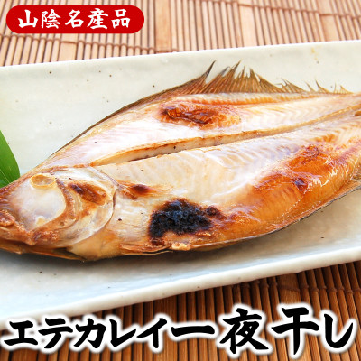 山陰名産エテカレイ一夜干し　6枚　兵庫県新温泉町　【配送不可地域：離島】【1109959】