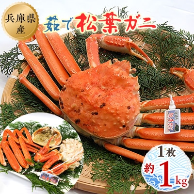 松葉ガニの本場よりプロ茹で松葉ガニ(冷凍)　1枚　約1kg【配送不可地域：離島】【1132204】