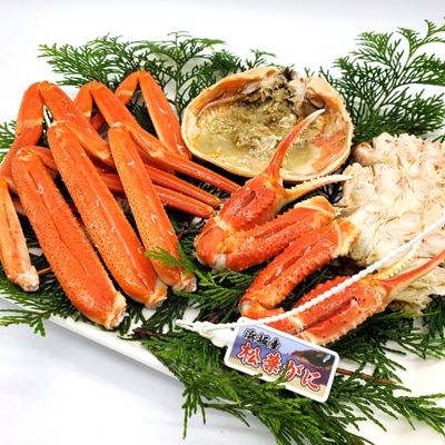 松葉ガニの本場よりプロ茹で松葉ガニ(冷凍)　1枚　約1kg【配送不可地域：離島】【1132204】