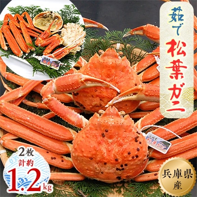 松葉ガニの本場より プロ茹で松葉ガニ(冷凍)　約600g×2枚【配送不可地域：離島】【1062956】