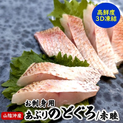 高級魚「天然クエ熟成」「炙りノドグロ」お刺身用 旨味凝縮 高鮮度3D凍結 個包装【配送不可地域：離島】【1546667】