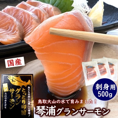 薬剤未使用で安心　国産とっとり琴浦グランサーモン刺身用　500g訳あり 小分け個包装で便利 ご当地【配送不可地域：離島】【1551135】