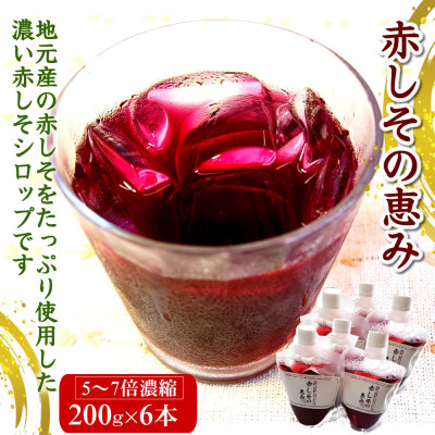 æ¿ãèµ€ããã·ããããèµ€ããã®æµã¿ã6æ¬ÃçŽ200gãæ¿çž®ã¿ã€ãã®èµ€çŽ«èãžã¥ãŒã¹ ããã°ããªã容åšã1115986ã