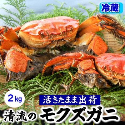 天然　活モクズガニ　約2kg　兵庫県新温泉町　【配送不可地域：離島・北海道・沖縄県・東北・関東・九州】【1534325】