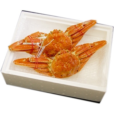 松葉ガニの本場より プロ茹で松葉ガニ(冷凍)　約700g×2枚【配送不可地域：離島】【1062957】