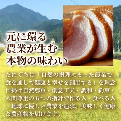 「但馬鴨」しゃぶしゃぶセット(小)3〜4人前【配送不可地域：離島】【1266626】
