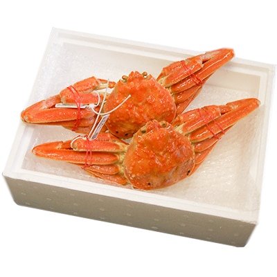 松葉ガニの本場より プロ茹で松葉ガニ(冷凍)　約600g×2枚【配送不可地域：離島】【1062956】