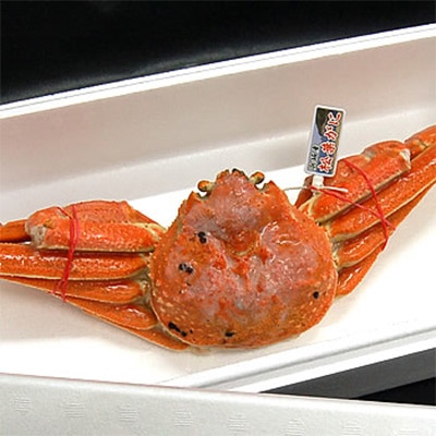 松葉ガニの本場よりプロ茹で松葉ガニ(冷凍)　1枚　約1kg【配送不可地域：離島】【1132204】