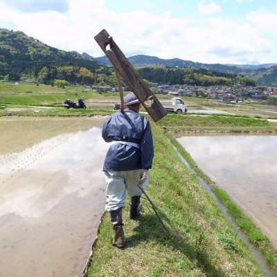 【2ヵ月毎定期便】和牛の里-但馬・新温泉町 コシヒカリ 精米5kg全6回【4086255】