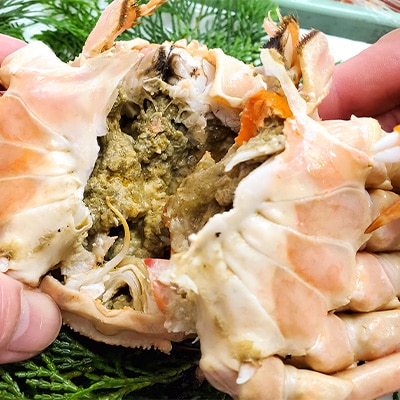 松葉ガニの本場より プロ茹で松葉ガニ(冷凍)　約600g×2枚【配送不可地域：離島】【1062956】