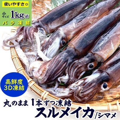 スルメイカ冷凍 1kg 小さいサイズ 訳あり 家庭用【配送不可地域：離島】【1682531】