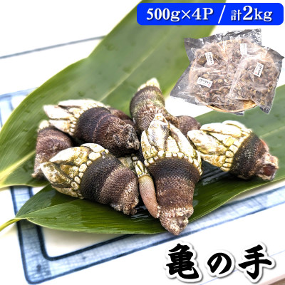 亀の手　500g×4袋　計2kg　兵庫県新温泉町　【配送不可地域：離島】【1089878】