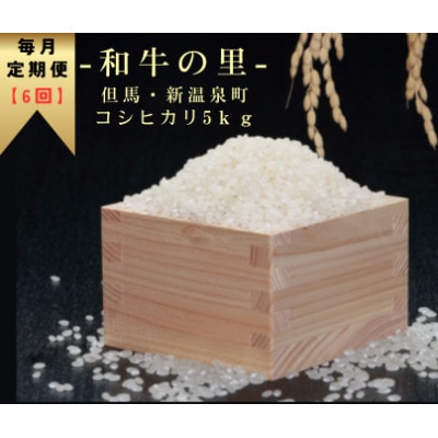 ãæ¯æå®æäŸ¿ãåçã®é-äœéŠ¬ã»æ°æž©æ³çº ã³ã·ãã«ãª 粟米 5kgå
š6åã4086247ã