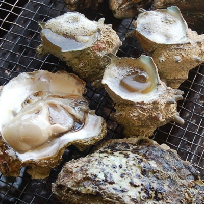 山陰の天然岩ガキ詰合せ(大きさにより5〜7個入)　牡蠣は殺菌済　下処理済　生食OK　バーベキュー【配送不可地域：離島・北海道・沖縄県・東北】【1114074】