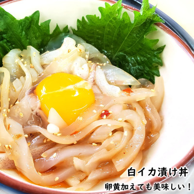 【兵庫県新温泉町】魚屋自家製「山陰の海鮮漬け丼10食」セット　天然魚使用　添加物未使用　海鮮丼【配送不可地域：離島】【1100214】