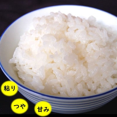 【発送月固定定期便】日本遺産認定　北前船寄港地 「北前船米」コシヒカリ 精米10kg全3回【4067345】