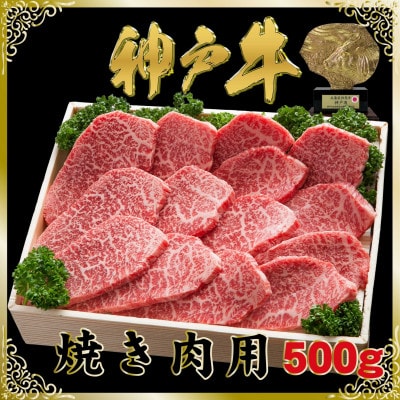 神戸牛(神戸ビーフ)焼き肉用 500g SOY2 【2026年4月より順次発送】【配送不可地域：離島】【1686980】