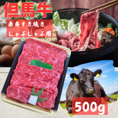 但馬牛　赤身スライス　500g【配送不可地域：離島】【1072496】