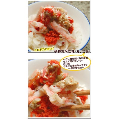 æŸèã¬ãã®æ¬å Žãèš³ããã»çã»ã³ã¬ã(å·èµ)倧ãµã€ãºã5æãå
µåº«çæ°æž©æ³çºããé
éäžå¯å°åïŒé¢å³¶ã»åæµ·éã»æ²çžçã»æ±åãã1132207ã