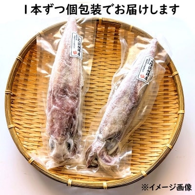 【便利な個包装】高級朝とれ白いか　2杯セット(2杯×300〜400g)700g前後　高鮮度3D凍結【配送不可地域：離島】【1515778】