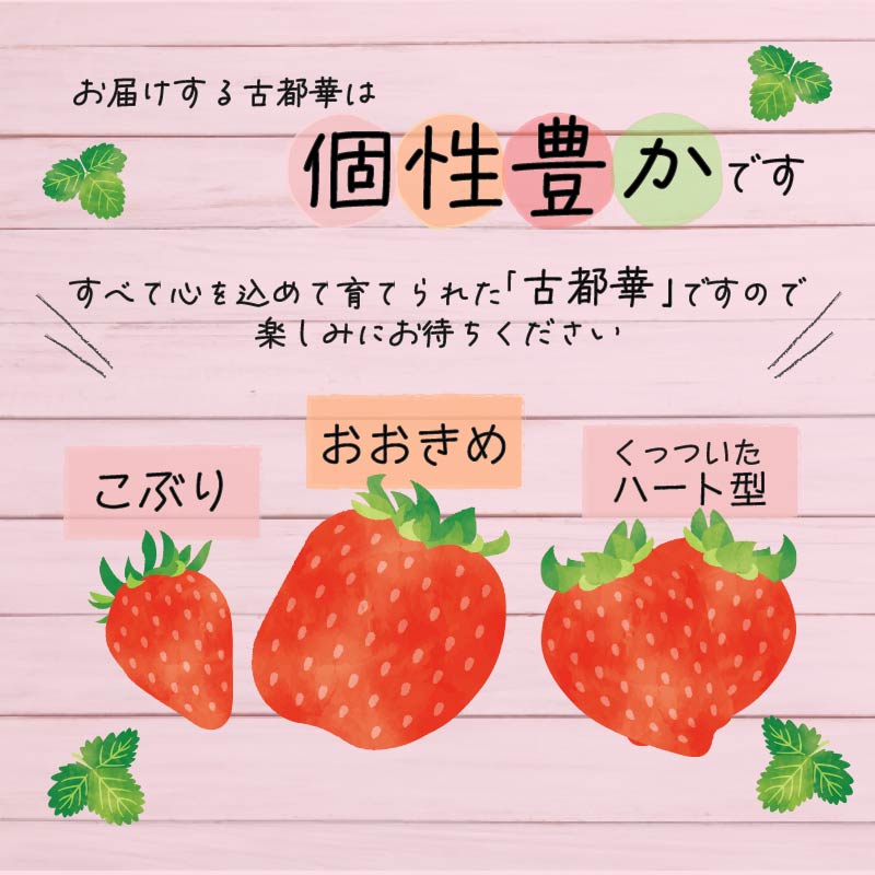 ãã¡ã å€éœè¯ 270gÃ2ãã㯠æ°ééå® èº ã€ã㎠ãã©ã³ã å€§ç² æ¬ ç£å°çŽé ãã«ãŒã æç© å·èµ ãã¬ãã·ã¥ å°åã åœç£ èŽççš ãã¬ãŒã³ã ã®ãã å¥è¯ç£ é«çŽ å³éž éå® æ°é®® ç£å° çŽé ãã©ã³ãèº çã äººæ° çŸå³ãã ç³åºŠ 12ïœ13床 éå®åºè· å¥è¯åž å¥è¯ç 倧ã¡ãã ãã¡ã 蟲家 ã ããŸ