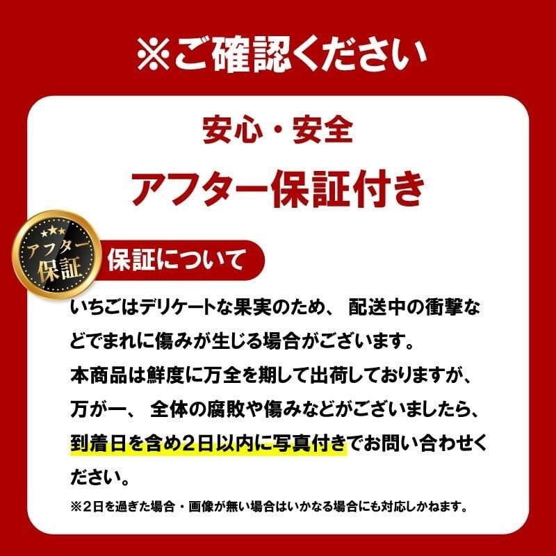 いちご ならあかり 古都華 セット 2026年 発送（270g×2パック）予約受付中 数量限定 早期終了 予定あり 家庭用 イチゴ 先行予約 苺 奈良ブランド苺 ブランド 古都華 大粒 苺 旬 産地 直送 フレッシュ 新鮮 フルーツ 果物 くだもの 萩原いちご農園 奈良県 奈良市
