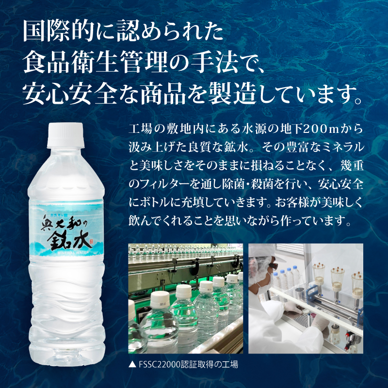 奥大和の銘水 500ml×24本（1箱24本入り×1箱） 水 美味しい水 月ヶ瀬の水 奥大和の銘水24本セット シリカ水 軟水 賞味期限2年 長期間保存可能 永伸商事株式会社