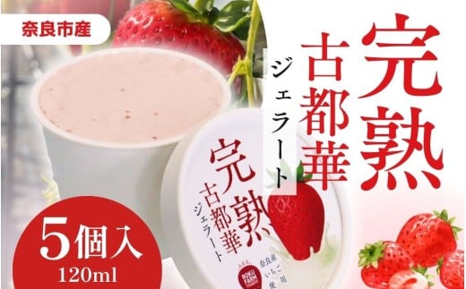 古都華いちご ジェラート 120ml 【5個入り】セット 6FARM 大容量 家族で楽しむ アイス 手作り スイーツ デザート 奈良市産 苺 使用 贈り物 プレゼント 人気 いちご 奈良ブランドいちご 古都華 大粒 奈良県 奈良 11-135