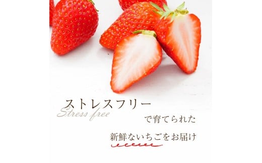 ãã¡ã å€éœè¯ 1kg 250gÃ4ãã㯠Lãµã€ãºä»¥äž 250g 2026幎 1æçºé å°åã ãã㯠ãã«ãŒã æç© ã¹ã€ãŒã çã ãã¡ã èº ã€ã㎠ãåãå¯ã å€§ç² ææ¡ã ãã«ãŒã æç© åœç£ å·èµé
é éæç¡æ é«çŽ å®¶åºçš ã±ãŒã ãèå äœ¿çš 1kg 10000å 1äžå å¥è¯ç å¥è¯åž