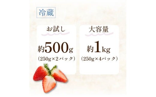 いちご 古都華 500g 250g×2パック Lサイズ以上 250g 2026年 1月発送 小分け パック フルーツ 果物 スイーツ 甘い いちご 苺 イチゴ お取り寄せ 大粒 朝採り フルーツ 果物 国産 冷蔵配送 送料無料 高級 家庭用 ケーキ お菓子 使用 500g 6000円 奈良県 奈良市
