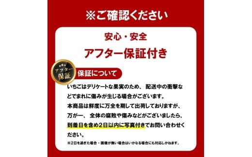 いちご 古都華 500g 250g×2パック Lサイズ以上 250g 2026年 1月発送 小分け パック フルーツ 果物 スイーツ 甘い いちご 苺 イチゴ お取り寄せ 大粒 朝採り フルーツ 果物 国産 冷蔵配送 送料無料 高級 家庭用 ケーキ お菓子 使用 500g 6000円 奈良県 奈良市