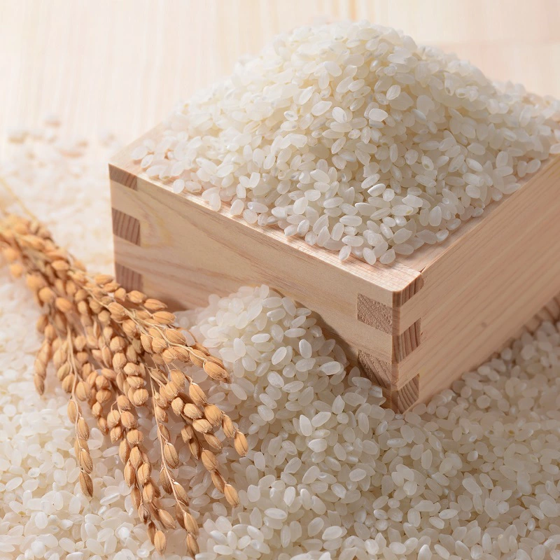 譟ソ縺ョ闡牙ッソ蜿ク 5濶イ 20蛟句・ 譬ェ蠑丈シ夂、セ荳ュ隹キ譛ャ闊 繧舌*縺 縺ェ繧 螂郁憶 蜷咲黄 驛キ蝨滓侭逅 蜥碁」 蟇ソ蜿ク 譟ソ縺ョ闡峨★縺 魃 魄ュ 繧「繧ク 縺ゅ§ 魏コ 豬キ閠 魃 隧ー繧∝粋繧上○ 縺雁悄逕」 雍医j迚ゥ 繧ョ繝輔ヨ 莨晉オア 迚ケ逕」蜩 鬟溷刀 螂郁憶蟶 螂郁憶逵 謨ャ閠√ョ譌・ 繝上Ο繧ヲ繧」繝ウ 繧ッ繝ェ繧ケ繝槭せ 繝舌Ξ繝ウ繧ソ繧、繝ウ 豁」譛 13-053