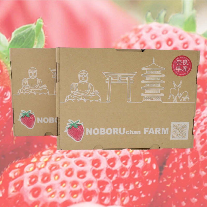 ã å
è¡äºçŽ / æ°ééå® ã ãã¡ã 500g ä»¥äž ( 270g à 2P ) æ°é®® ç£å°çŽé å³éž ã2026幎1æä»¥éçºéã æ¬ ãã©ã³ã ã€ããŽ èº å€éœè¯ ãã«ãŒã æç© ãã ãã® åœç£ éå® å€§ç² ç£å° èŸ²å Ž çŽé ãã¬ãã·ã¥ ããªãŒ èŽççš ãã¬ãŒã³ã äººæ° ãããã èº ãã¶ãŒã ã¹ã€ãŒã ã€ãŒãã æ ªåŒäŒç€Ÿ ã®ãŒãã¡ãããã¡ãŒã å¥è¯ç å¥è¯åž ãªã