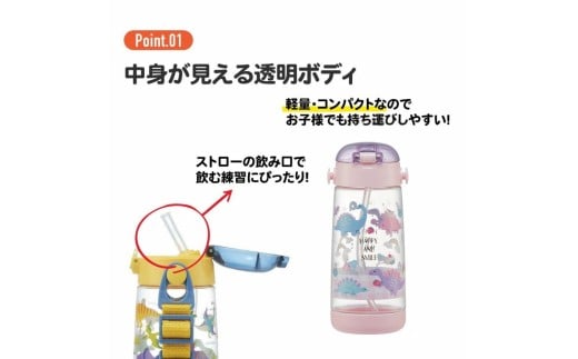 ã¯ã³ããã·ã¥ã¹ãããŒããã« 480ml ããããŒïŒã¹ãã€ã«ã¬ã€ã³ã㌠ïŒã¹ã±ãŒã¿ãŒ skaterã ããããŒ&ã¹ãã€ã« æ°Žç å¥è¯ç å¥è¯åž ãªã 5-114