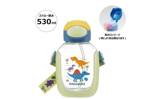 ワンプッシュストローボトル 530ml ディノサウルス スケーター〈skater〉水筒 ワンプッシュオープン 奈良県 奈良市 なら 6-315