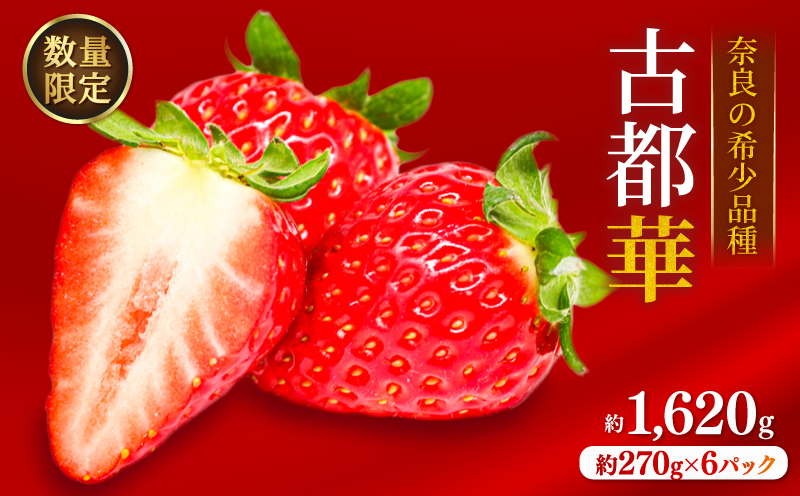 いちご ことか 約1620g 約270g×6パック 古都華 先行予約【2027年4月発送】 数量限定 選べる容量 産地直送 旬 冷蔵 イチゴ 苺 itigo ichigo strawberry ストロベリー いちご 大粒 お取り寄せ 国産 フルーツ 果物 スイーツ 小分け ブランドいちご ふるさと納税いちご 甘い 完熟 おすすめ 贈答 プレゼント ギフト 奈良県 奈良市 のぼるちゃんファーム