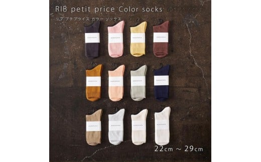 リブカラー ソックス 靴下 5P set【22cm～24cm】HARUSAKU ハルサク リブ バイカラー カジュアル シンプル ソックス 通勤 通学 スタイル プチプラ 組み合わせ セット かわいい メンズ レディース  奈良県 奈良市 なら 7-196