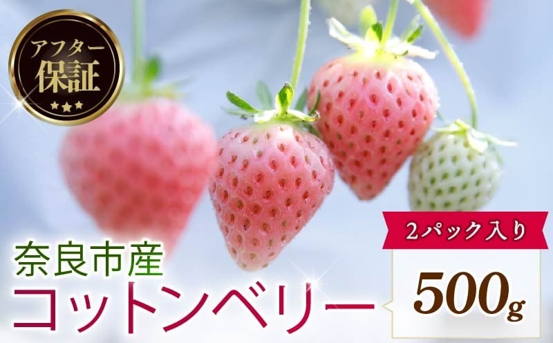 【数量限定】 2027年 3~4月発送 苺 いちご コットンベリー 2パック 約500g (約250g×2P) ゆりかーご 冷蔵 小分け 果物 スイーツ デザート くだもの フルーツ ベリー ふるさと納税 いちご 大粒 採れたて 完熟 おやつ 産地直送 先行予約 数量限定 季節限定 ブランド イチゴ 中村農園 奈良県 奈良市