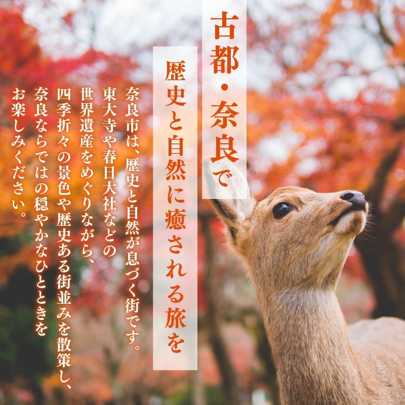 HIS ãµãããšçŽçš 宿æ³äºçŽå°çš ã¯ãŒãã³ å¥è¯åž 30,000åå å®¿æ³ ãã©ãã« ãã±ãã äººæ° èŠ³å
å° ãããã 芳ã éã¶ é£ã¹ã æ³ãŸã 芳å
ããã« æ
通 æž©æ³ ããžãã¹ åºåŒµ å®¶ææ
è¡ äžäººæ
ã°ã«ãŒãæ
è¡ ã®ãã ãã¬ãŒã³ã èŽãç© å©çšåž äœéš åœå
æ
è¡ å¥è¯ç å¥è¯åž