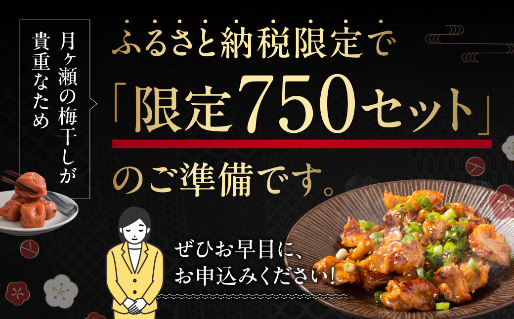 手軽に楽しむ！串なし焼き鳥 2種食べ比べセット 20袋 セット 35-023