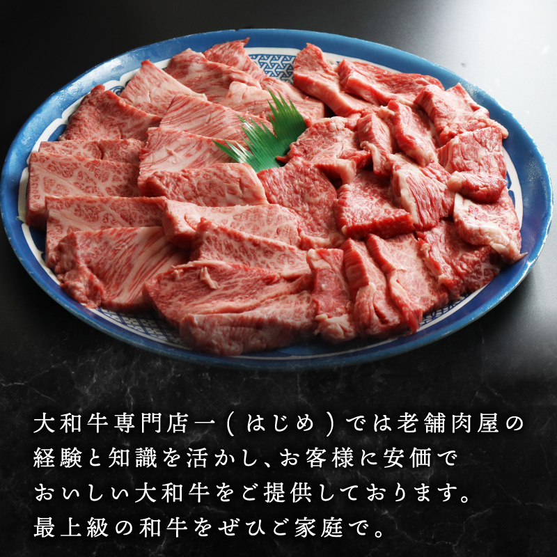 牛肉 和牛 ブランド牛 大和牛 焼肉セット 大和牛専門店 一 H-45