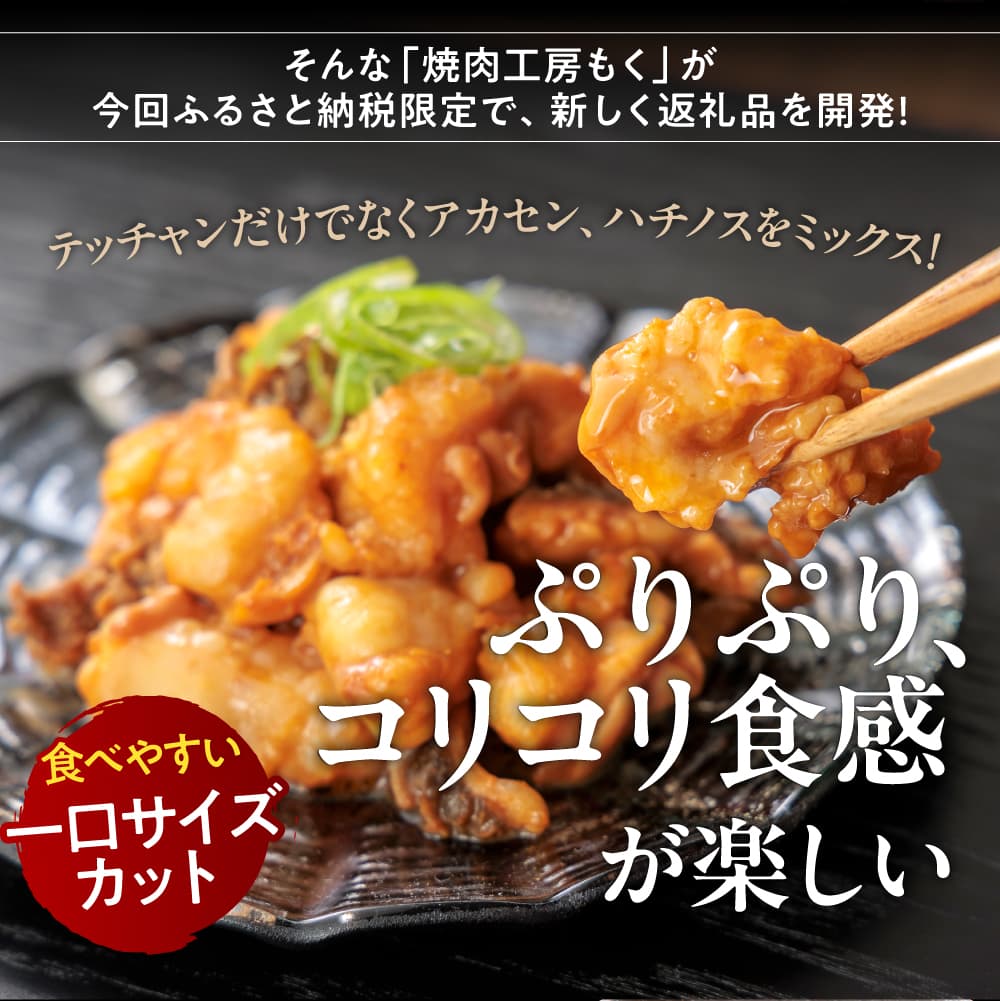 牛ホルモン MIX 1.2kg 焼肉工房もく 焼肉 もく ホルモン 牛ホルモン 牛肉 てっちゃん 奈良市 奈良 なら 9-020