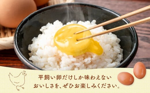 飛鳥の卵（１０個×４箱）定期便１２ケ月 古都 風雅ファーム たまご 平飼い卵 平飼い 卵 玉子 タマゴ 鶏卵 オムレツ 卵かけご飯 たまご焼き 奈良県 奈良市 なら 180-001